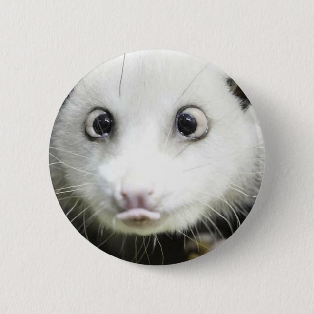 Chapa Redonda De 5 Cm Heidi The Cross Eyed Opossum (Anverso)
