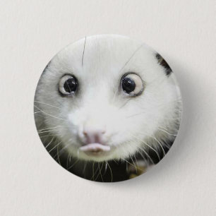Chapa Redonda De 5 Cm Heidi The Cross Eyed Opossum