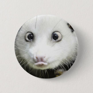 Chapa Redonda De 5 Cm Heidi The Cross Eyed Opossum