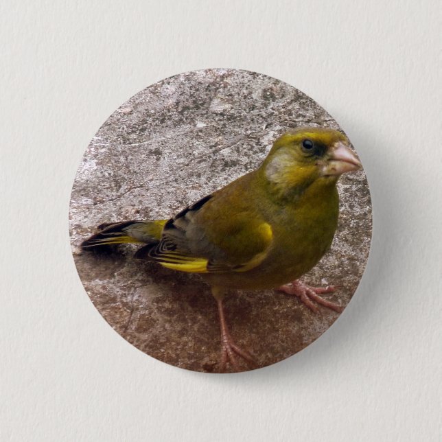 Chapa Redonda De 5 Cm Hermosa Finch (Anverso)