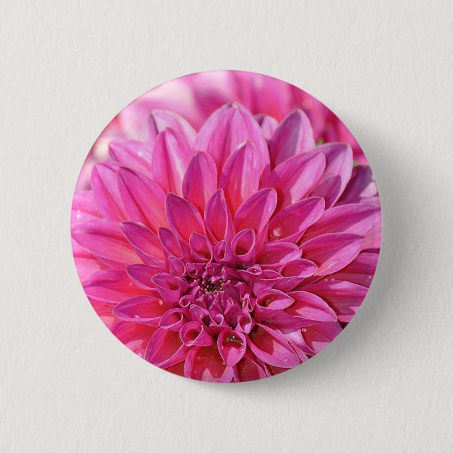 Chapa Redonda De 5 Cm Hermosas flores de dahlia rosa (Anverso)