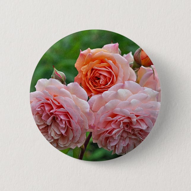 Chapa Redonda De 5 Cm Hermosas rosas rosas (Anverso)
