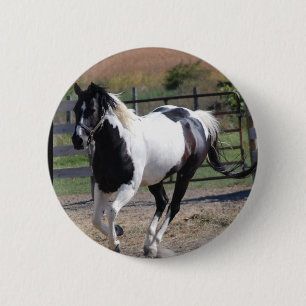 Chapa Redonda De 5 Cm Hermoso caballo de Paint Pinto
