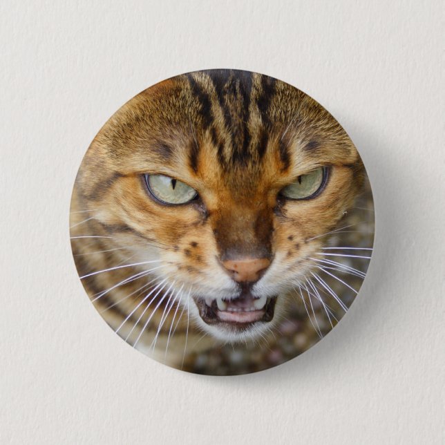 Chapa Redonda De 5 Cm Hermoso gato bengalí (Anverso)