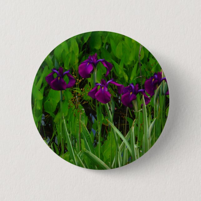 Chapa Redonda De 5 Cm Hermoso Iris Morado (Anverso)
