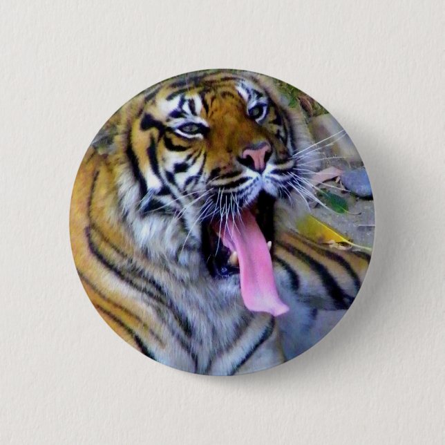 Chapa Redonda De 5 Cm Hey_ (Anverso)