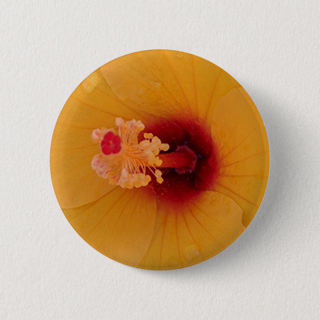 Chapa Redonda De 5 Cm Hibiscus (Anverso)