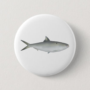 Chapa Redonda De 5 Cm Hilsa Shad