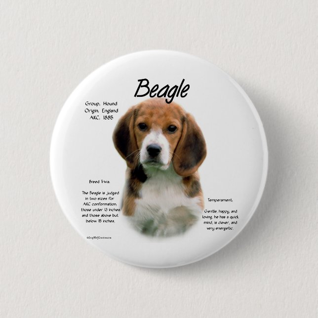 Chapa Redonda De 5 Cm Historia Beagle; Todo Sobre Beagles (Anverso)