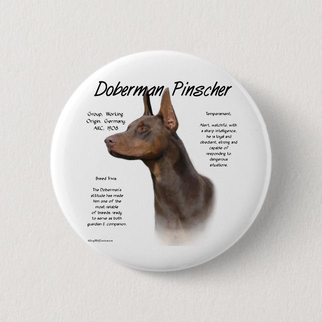 Chapa Redonda De 5 Cm Historia de Doberman Rojo (Anverso)