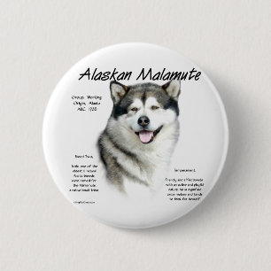 Chapa Redonda De 5 Cm Historia de Malamute en Alaska, todo sobre Malamut