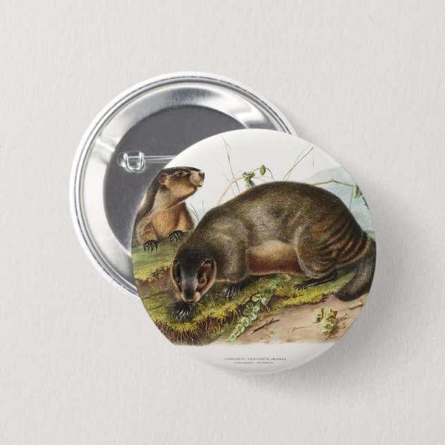 Chapa Redonda De 5 Cm Hoary Marmot Camping Deco Gifts (Anverso y reverso)