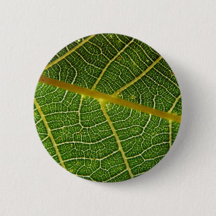 Chapa Redonda De 5 Cm Hoja