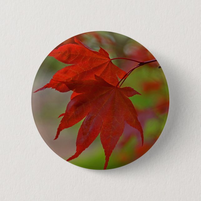 Chapa Redonda De 5 Cm Hojas de árbol rojo (Anverso)