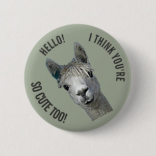 Chapa Redonda De 5 Cm Hola