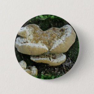 Chapa Redonda De 5 Cm Hongos estantes en Stump