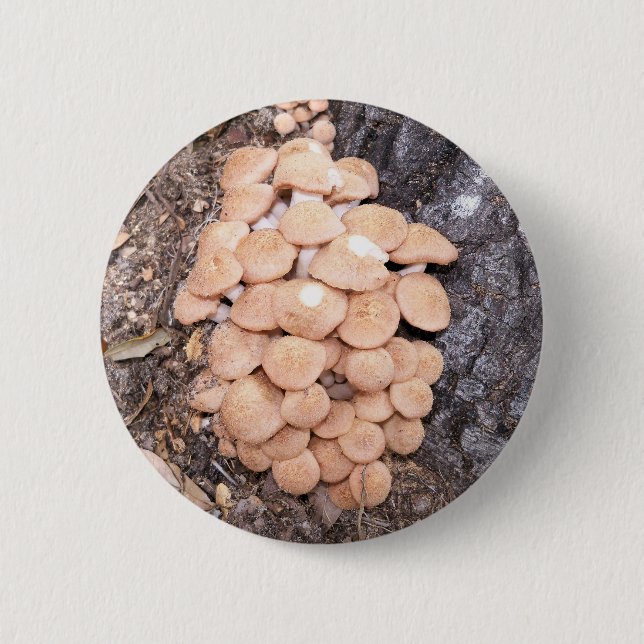 Chapa Redonda De 5 Cm hongos sin anillo (Anverso)