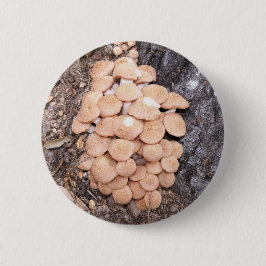 Chapa Redonda De 5 Cm hongos sin anillo