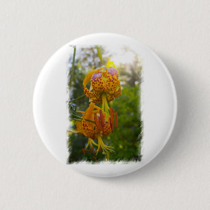 Chapa Redonda De 5 Cm Humboldt Lilies Sunburst