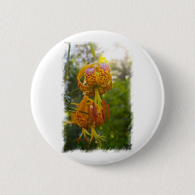Chapa Redonda De 5 Cm Humboldt Lilies Sunburst (Anverso)