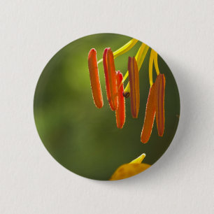 Chapa Redonda De 5 Cm Humboldt Lily Stamens
