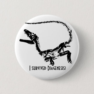 Chapa Redonda De 5 Cm I Survived Diagenesis Boton
