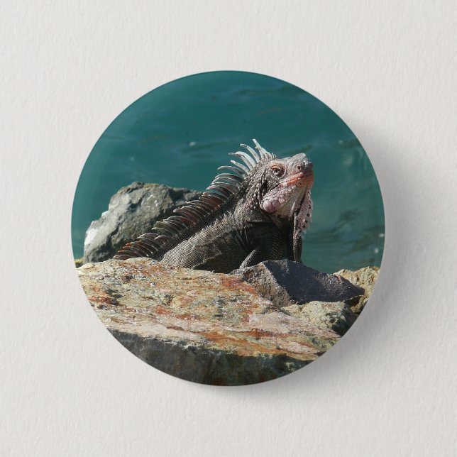 Chapa Redonda De 5 Cm Iguana en St. Thomas (Anverso)