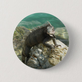 Chapa Redonda De 5 Cm Iguana sobre las rocas en Santo Tomás