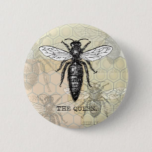 Chapa Redonda De 5 Cm Ilustración antigua de insecto bug abeja reina