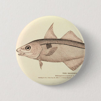 Chapa Redonda De 5 Cm Ilustracion del vintage de abadejos