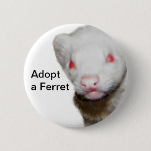 Chapa Redonda De 5 Cm Imagen de Albino Ferret