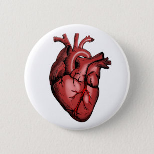 Chapa Redonda De 5 Cm Imagen de corazón anatómico realista