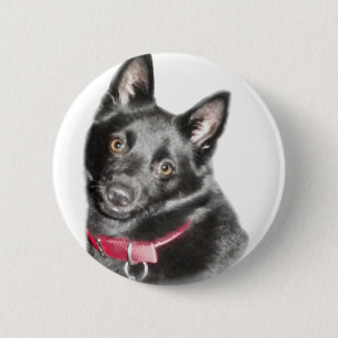Chapa Redonda De 5 Cm Imagen de Schipperke