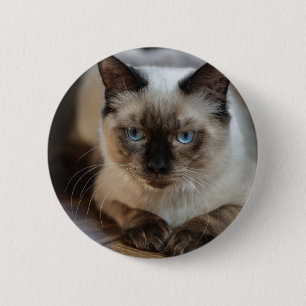 Chapa Redonda De 5 Cm Imagen personalizada de gato Mascota Añadir su pro