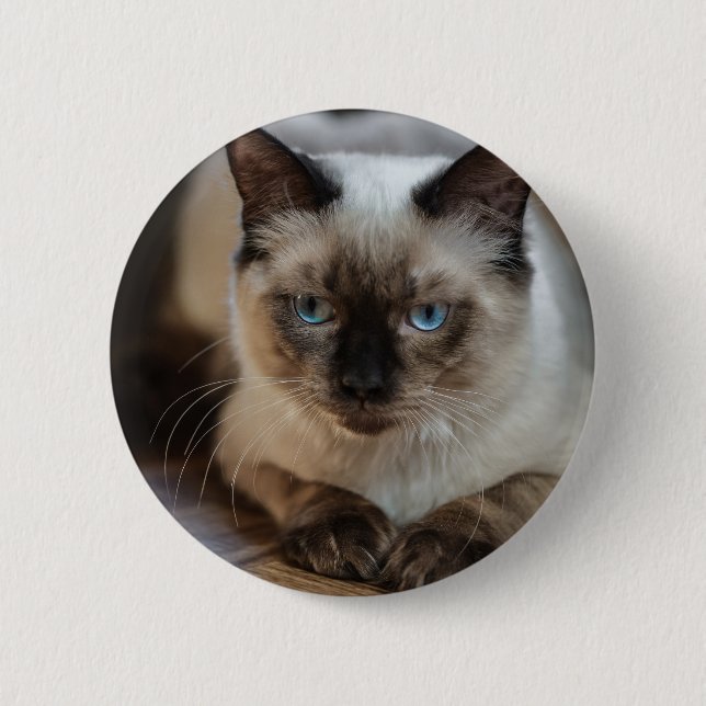 Chapa Redonda De 5 Cm Imagen personalizada de gato Mascota Añadir su pro (Anverso)