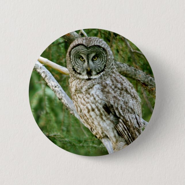 CHAPA REDONDA DE 5 CM IMG_0297_2 (Anverso)