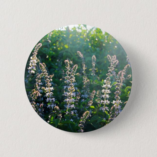 CHAPA REDONDA DE 5 CM IMG_3703 (Anverso)