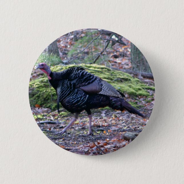 Chapa Redonda De 5 Cm IMG_6278_edited (Anverso)