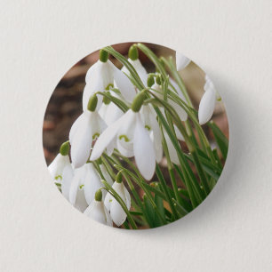 Chapa Redonda De 5 Cm Impresionantes Snowdrop