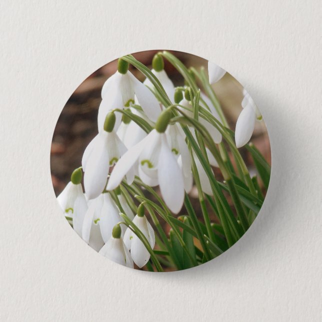 Chapa Redonda De 5 Cm Impresionantes Snowdrop (Anverso)