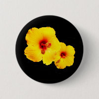 Insignia amarilla de Hibiscus