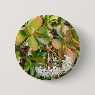 Chapa Redonda De 5 Cm Insignia de Crassula ovata