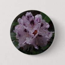 Insignia de flores de Rhododendron