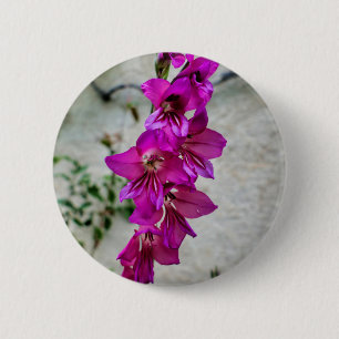 Chapa Redonda De 5 Cm Insignia de gladiolus bizantina