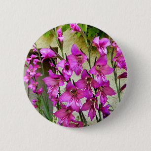 Chapa Redonda De 5 Cm Insignia de gladiolus bizantina