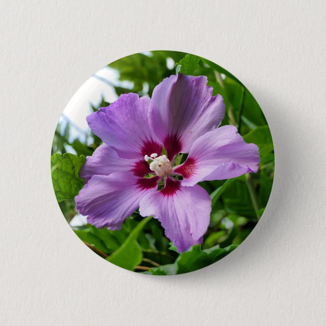 Chapa Redonda De 5 Cm Insignia de Hibiscus (Anverso)