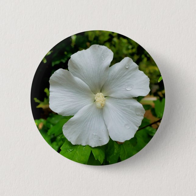 Chapa Redonda De 5 Cm Insignia de Hibiscus (Anverso)