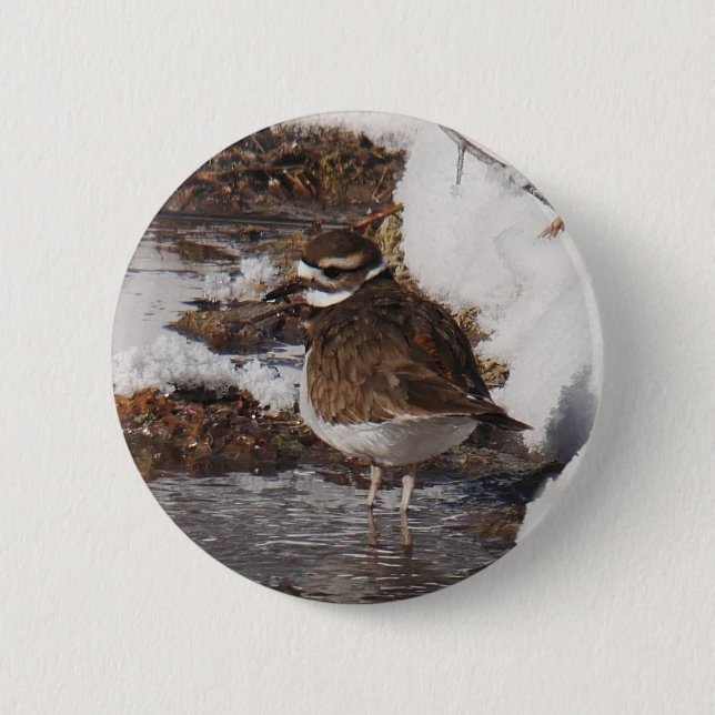 Chapa Redonda De 5 Cm Insignia de Killdeer (Anverso)