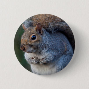 Chapa Redonda De 5 Cm Insignia de la ardilla gris