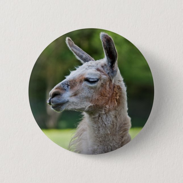 Chapa Redonda De 5 Cm Insígnia de llama (Anverso)